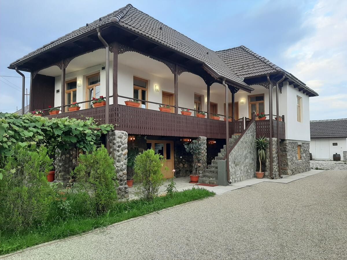 Гостевой дом Pensiunea Ika Stăneşti